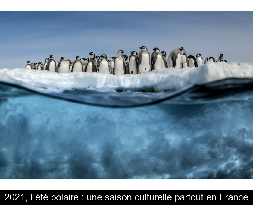 2021, l'été polaire : une saison culturelle partout en France
