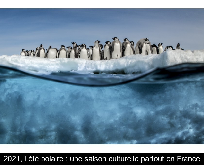 2021, l'été polaire : une saison culturelle partout en France 2021, l'été polaire : une saison culturelle partout en France