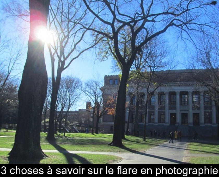 3 choses à savoir sur le flare en photographie