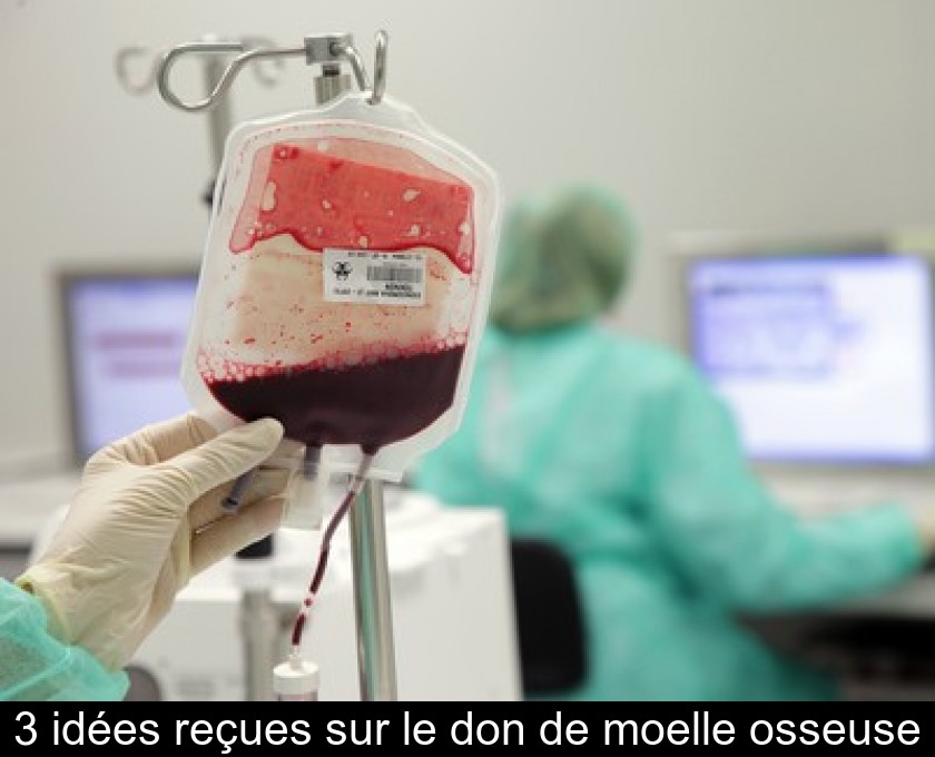 3 idées reçues sur le don de moelle osseuse 3 idées reçues sur le don de moelle osseuse