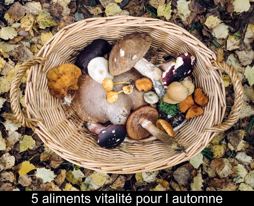 5 aliments vitalité pour l'automne 5 aliments vitalité pour l'automne