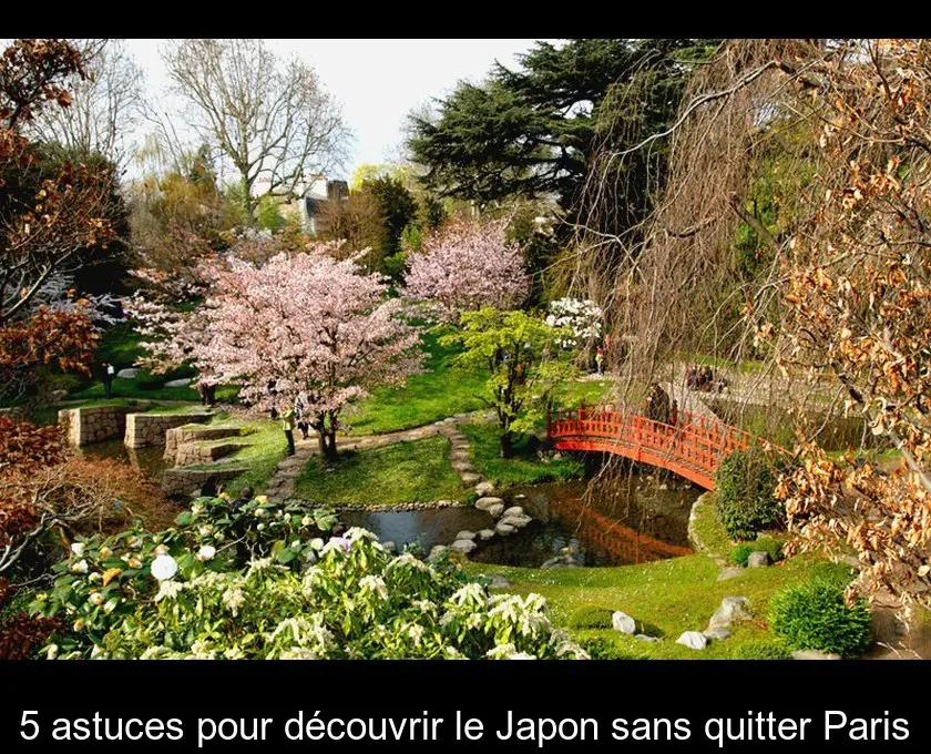 5 astuces pour découvrir le Japon sans quitter Paris