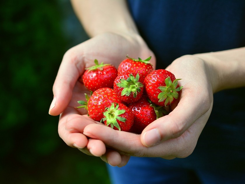 5 bienfaits des fraises pour la santé