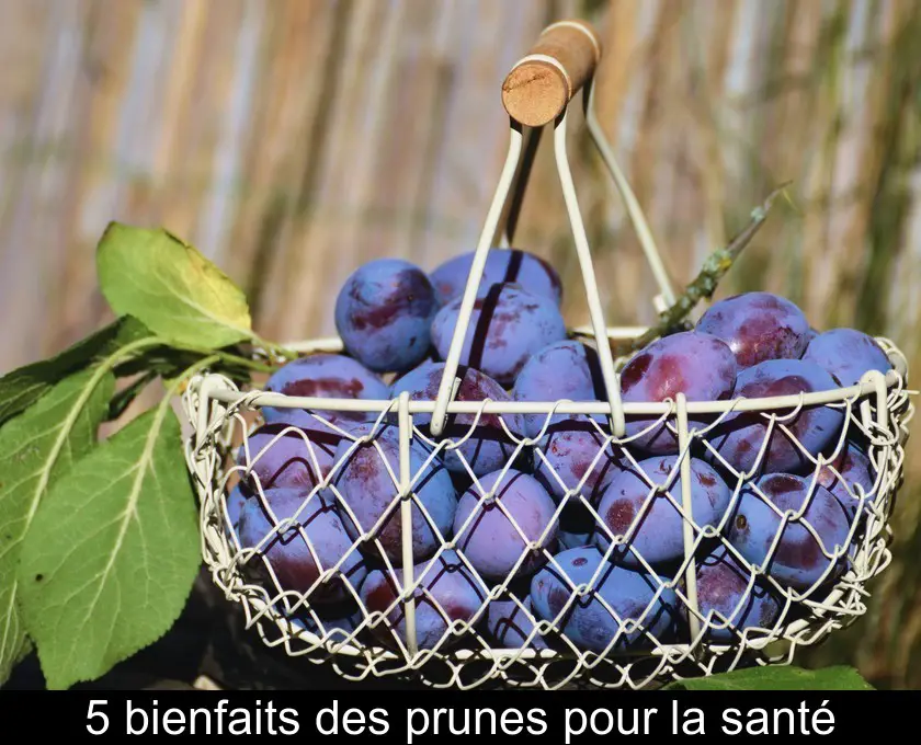 5 bienfaits des prunes pour la santé