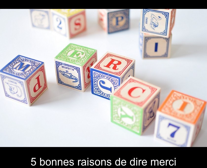 5 bonnes raisons de dire merci 5 bonnes raisons de dire merci