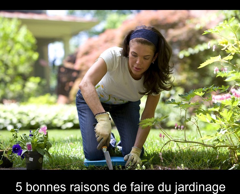 5 bonnes raisons de faire du jardinage 5 bonnes raisons de faire du jardinage