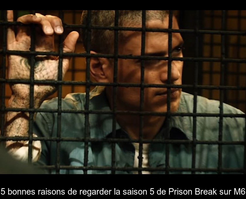 5 bonnes raisons de regarder la saison 5 de Prison Break sur M6 5 bonnes raisons de regarder la saison 5 de Prison Break sur M6