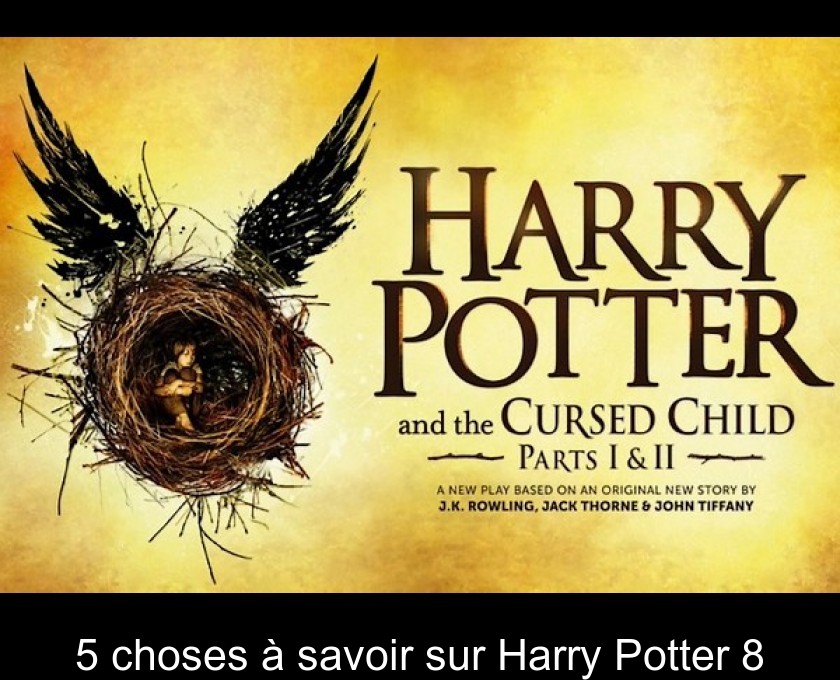 5 choses à savoir sur Harry Potter 8