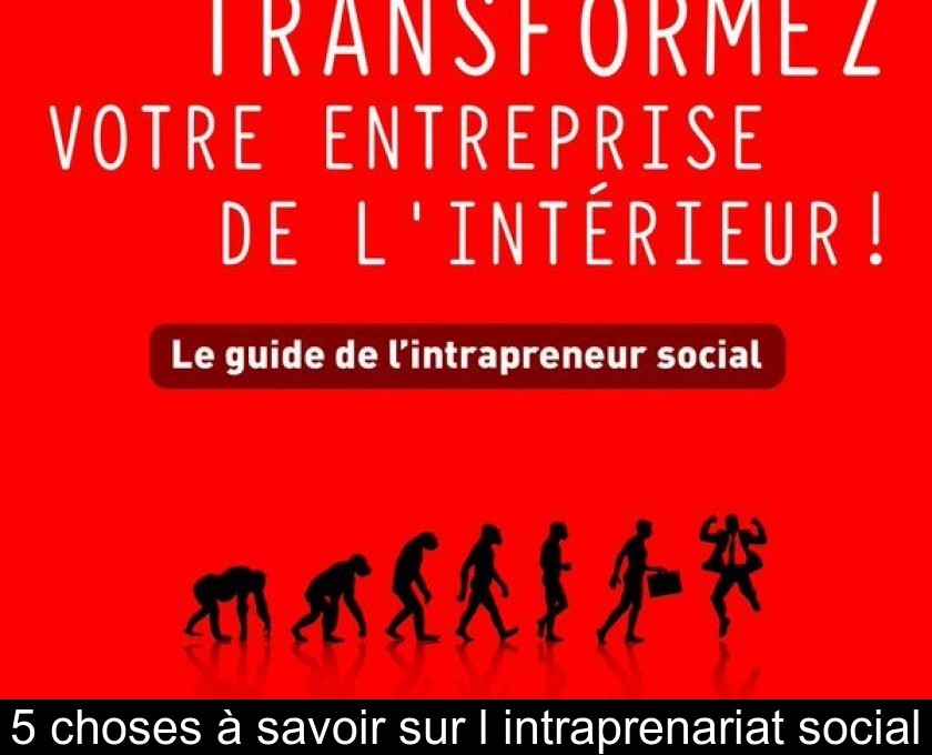 5 choses à savoir sur l'intraprenariat social 5 choses à savoir sur l'intraprenariat social