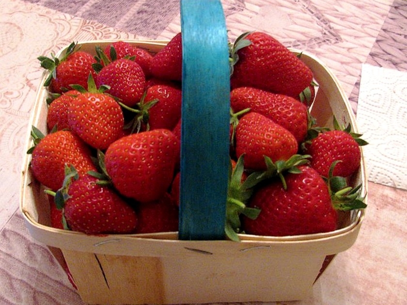 5 choses à savoir sur la fraise de Plougastel 5 choses à savoir sur la fraise de Plougastel