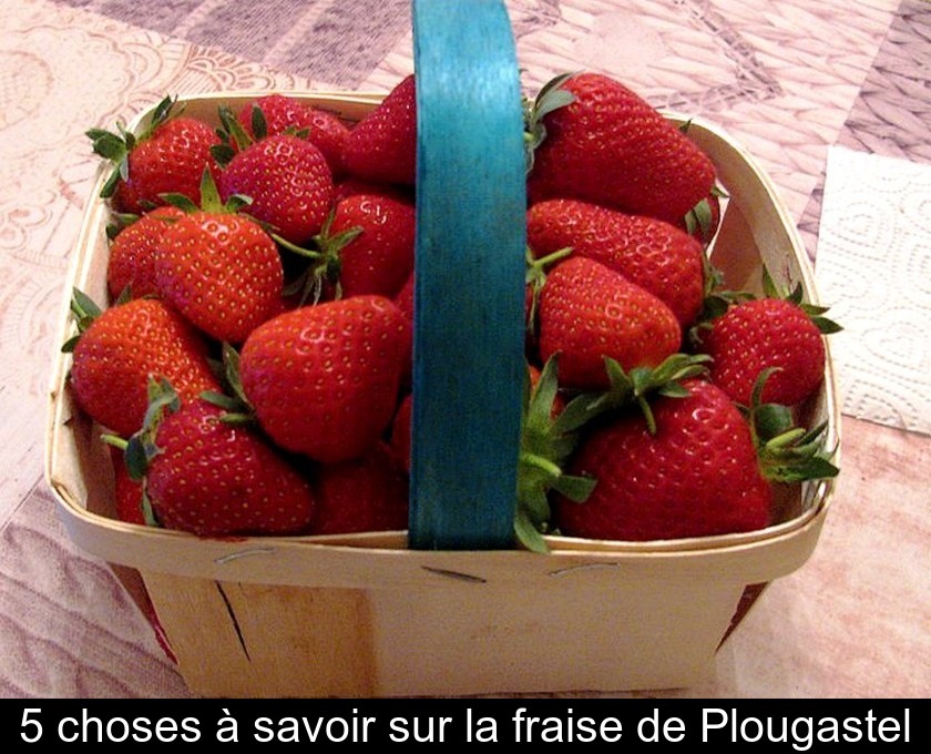 5 choses à savoir sur la fraise de Plougastel
