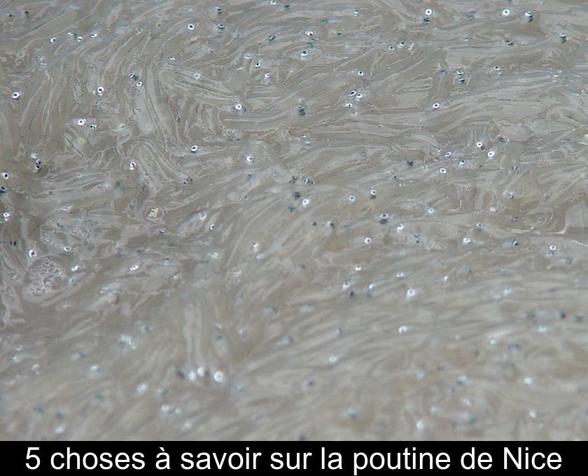 5 choses à savoir sur la poutine de Nice 5 choses à savoir sur la poutine de Nice