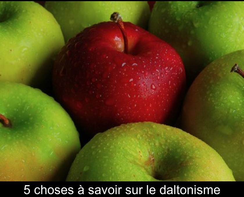 5 choses à savoir sur le daltonisme 5 choses à savoir sur le daltonisme