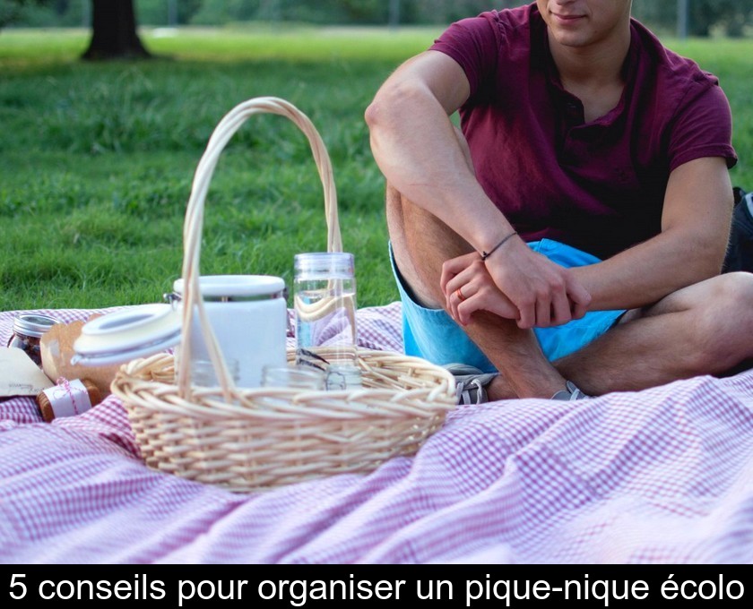 5 conseils pour organiser un pique-nique écolo 5 conseils pour organiser un pique-nique écolo