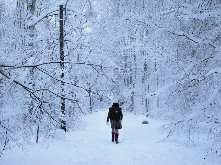 5 conseils pour photographier l'hiver 5 conseils pour photographier l'hiver