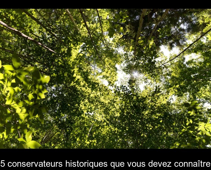 5 conservateurs historiques que vous devez connaître 5 conservateurs historiques que vous devez connaître