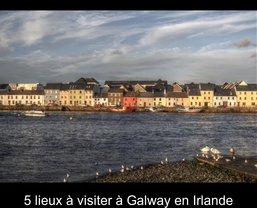 5 lieux à visiter à Galway en Irlande