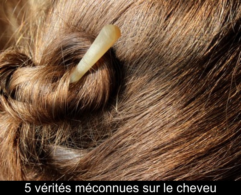 5 vérités méconnues sur le cheveu 5 vérités méconnues sur le cheveu