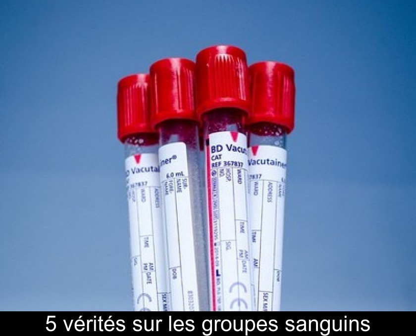 5 vérités sur les groupes sanguins 5 vérités sur les groupes sanguins