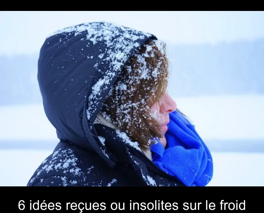 6 idées reçues ou insolites sur le froid