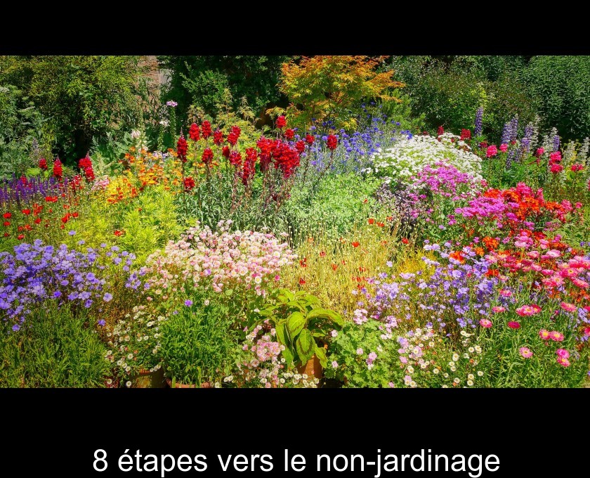 8 étapes vers le non-jardinage 8 étapes vers le non-jardinage