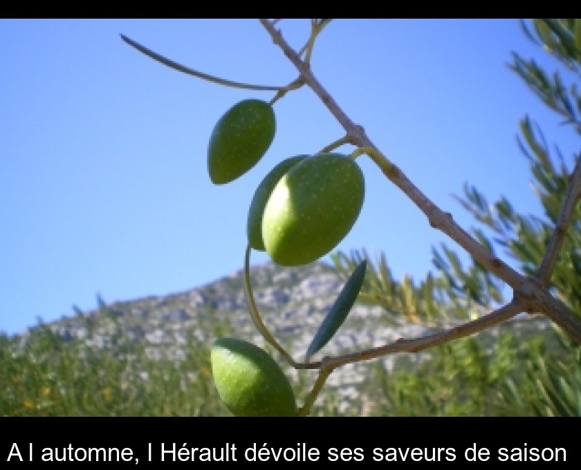 A l'automne, l'Hérault dévoile ses saveurs de saison A l'automne, l'Hérault dévoile ses saveurs de saison