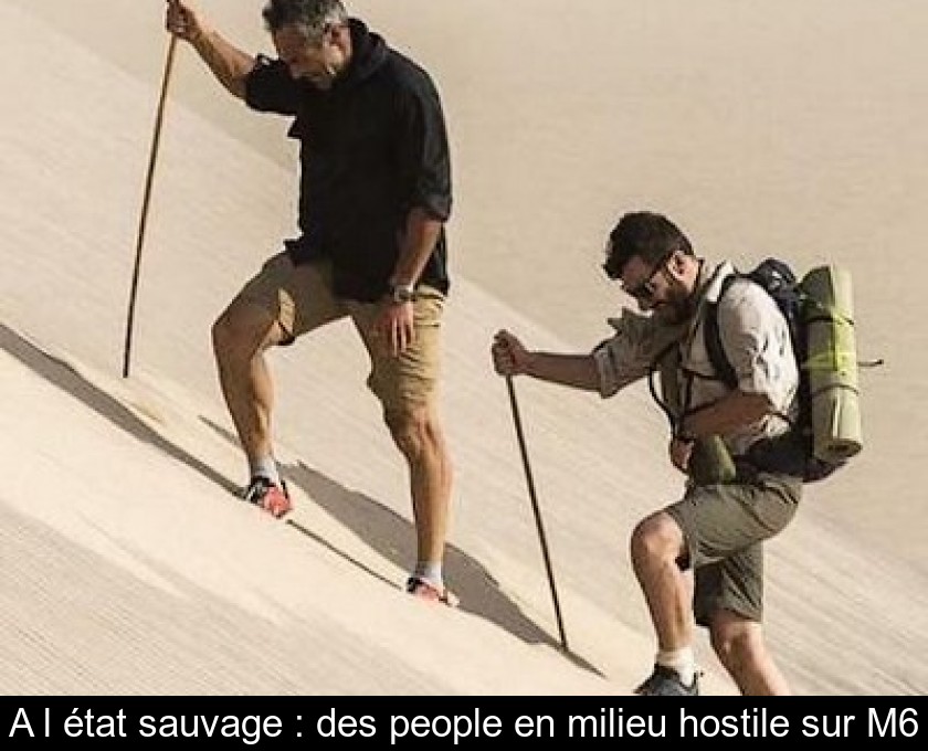 A l'état sauvage : des people en milieu hostile sur M6 A l'état sauvage : des people en milieu hostile sur M6