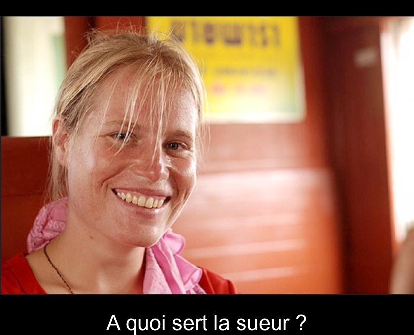 A quoi sert la sueur ?