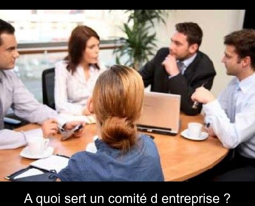 A quoi sert un comité d'entreprise ? A quoi sert un comité d'entreprise ?