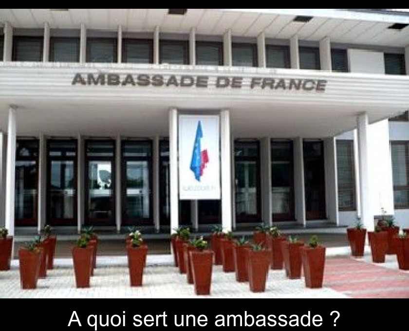 A quoi sert une ambassade ? A quoi sert une ambassade ?
