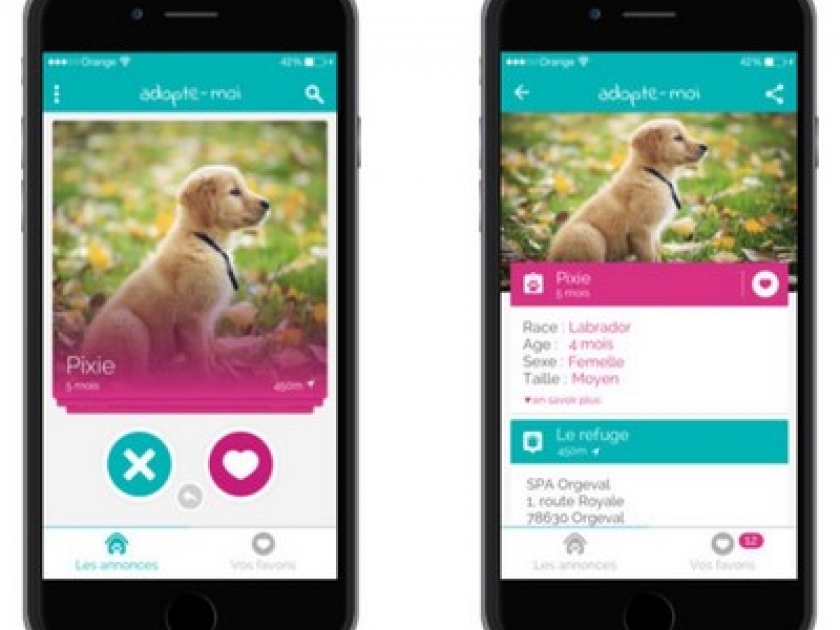 Adopte-moi : l'appli pour recueillir un animal abandonné Adopte-moi : l'appli pour recueillir un animal abandonné