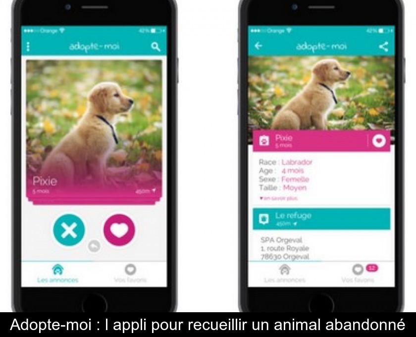 Adopte-moi : l'appli pour recueillir un animal abandonné Adopte-moi : l'appli pour recueillir un animal abandonné