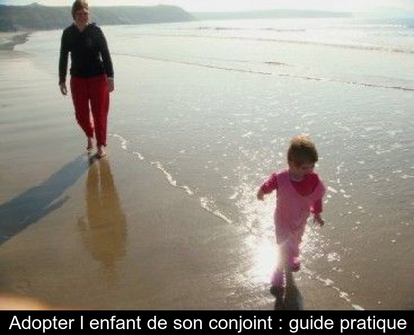 Adopter l'enfant de son conjoint : guide pratique Adopter l'enfant de son conjoint : guide pratique
