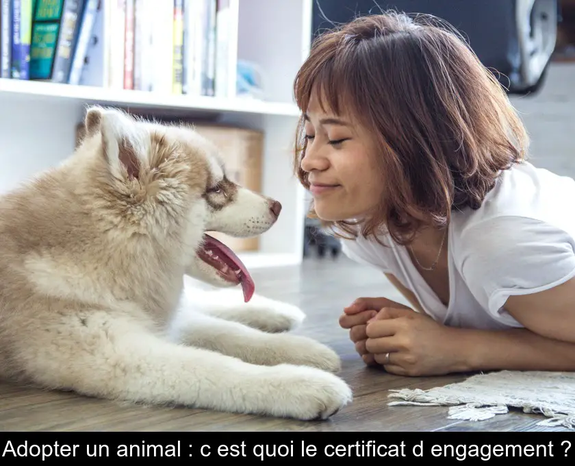 Adopter un animal : c'est quoi le certificat d'engagement ?