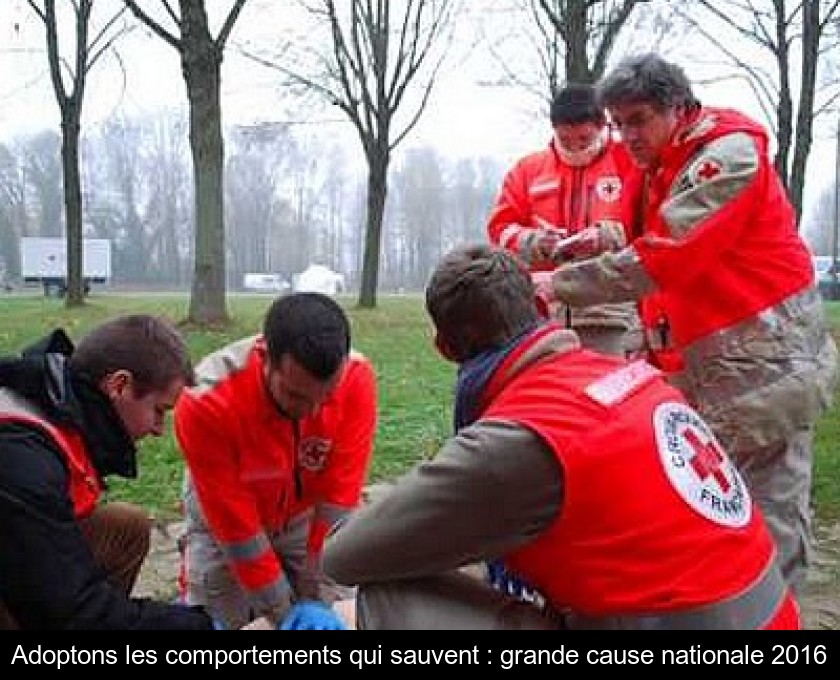 Adoptons les comportements qui sauvent : grande cause nationale 2016 Adoptons les comportements qui sauvent : grande cause nationale 2016