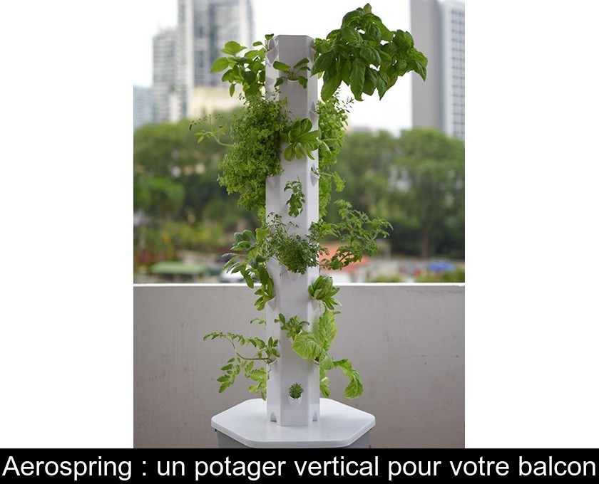 Aerospring : un potager vertical pour votre balcon Aerospring : un potager vertical pour votre balcon