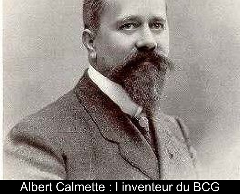 Albert Calmette : l'inventeur du BCG Albert Calmette : l'inventeur du BCG