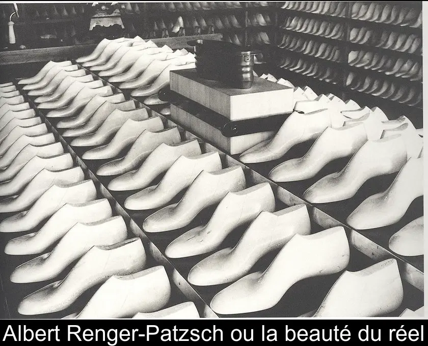 Albert Renger-Patzsch ou la beauté du réel