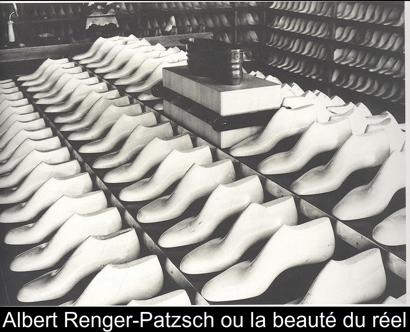 Albert Renger-Patzsch ou la beauté du réel Albert Renger-Patzsch ou la beauté du réel