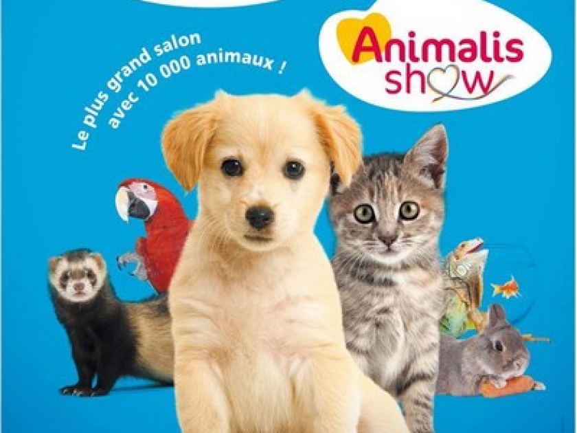 Animal expo : le salon des animaux de compagnie Animal expo : le salon des animaux de compagnie