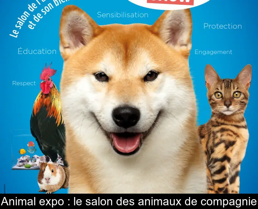 Animal expo : le salon des animaux de compagnie