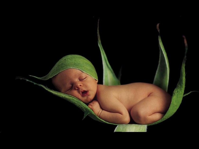 Anne Geddes : des photos cute devenues culte Anne Geddes : des photos cute devenues culte