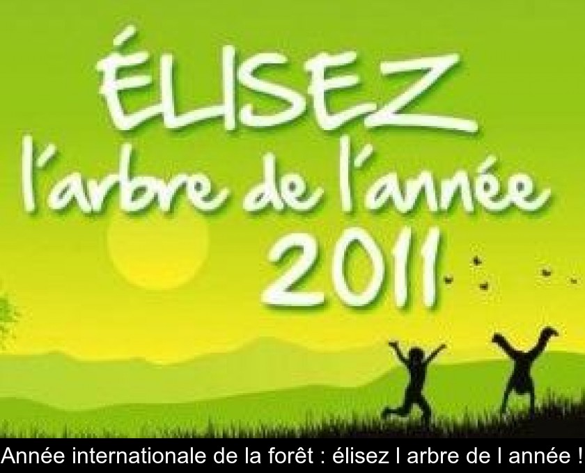 Année internationale de la forêt : élisez l'arbre de l'année !