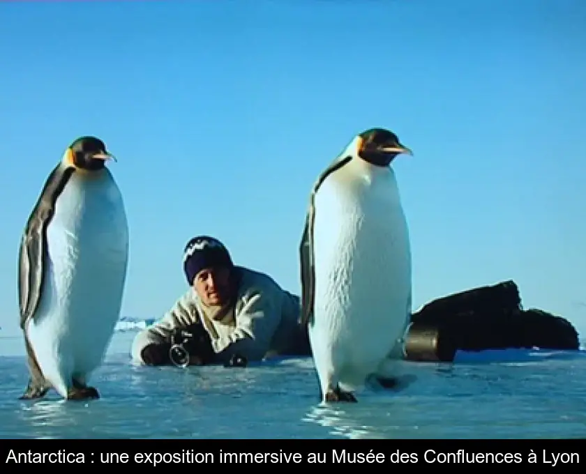 Antarctica : une exposition immersive au Musée des Confluences à Lyon
