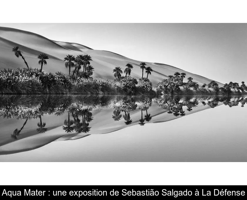 Aqua Mater : une exposition de Sebastião Salgado à La Défense