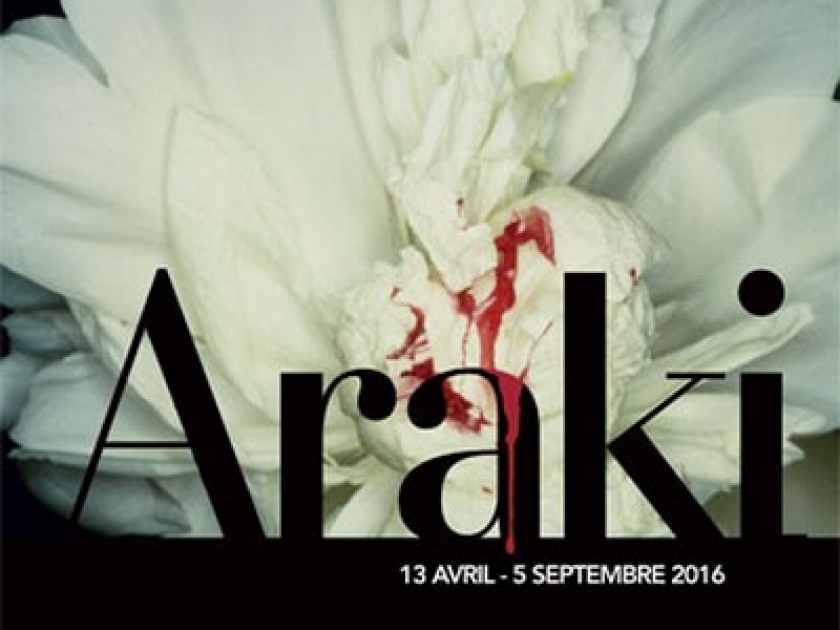 Araki : une exposition sulfureuse et sensuelle au Musée Guimet Araki : une exposition sulfureuse et sensuelle au Musée Guimet