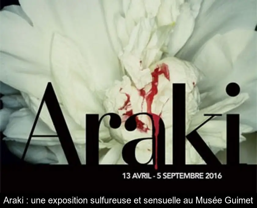 Araki : une exposition sulfureuse et sensuelle au Musée Guimet
