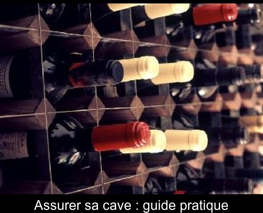 Assurer sa cave : guide pratique Assurer sa cave : guide pratique