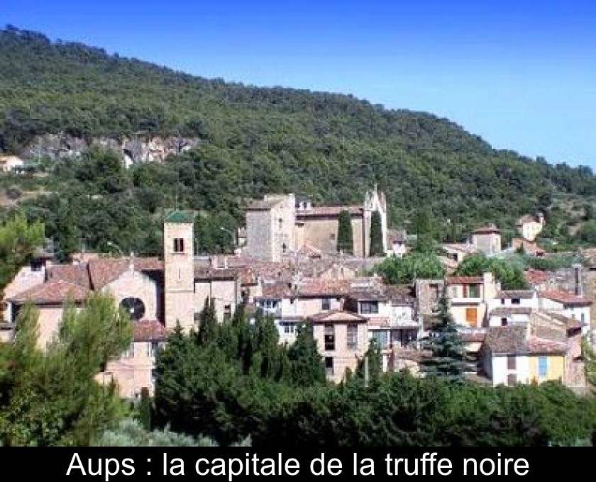 Aups : la capitale de la truffe noire Aups : la capitale de la truffe noire