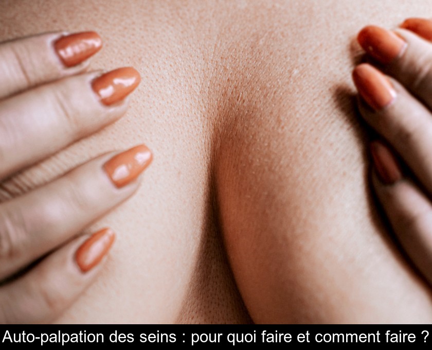 Auto-palpation des seins : pour quoi faire et comment faire ? Auto-palpation des seins : pour quoi faire et comment faire ?